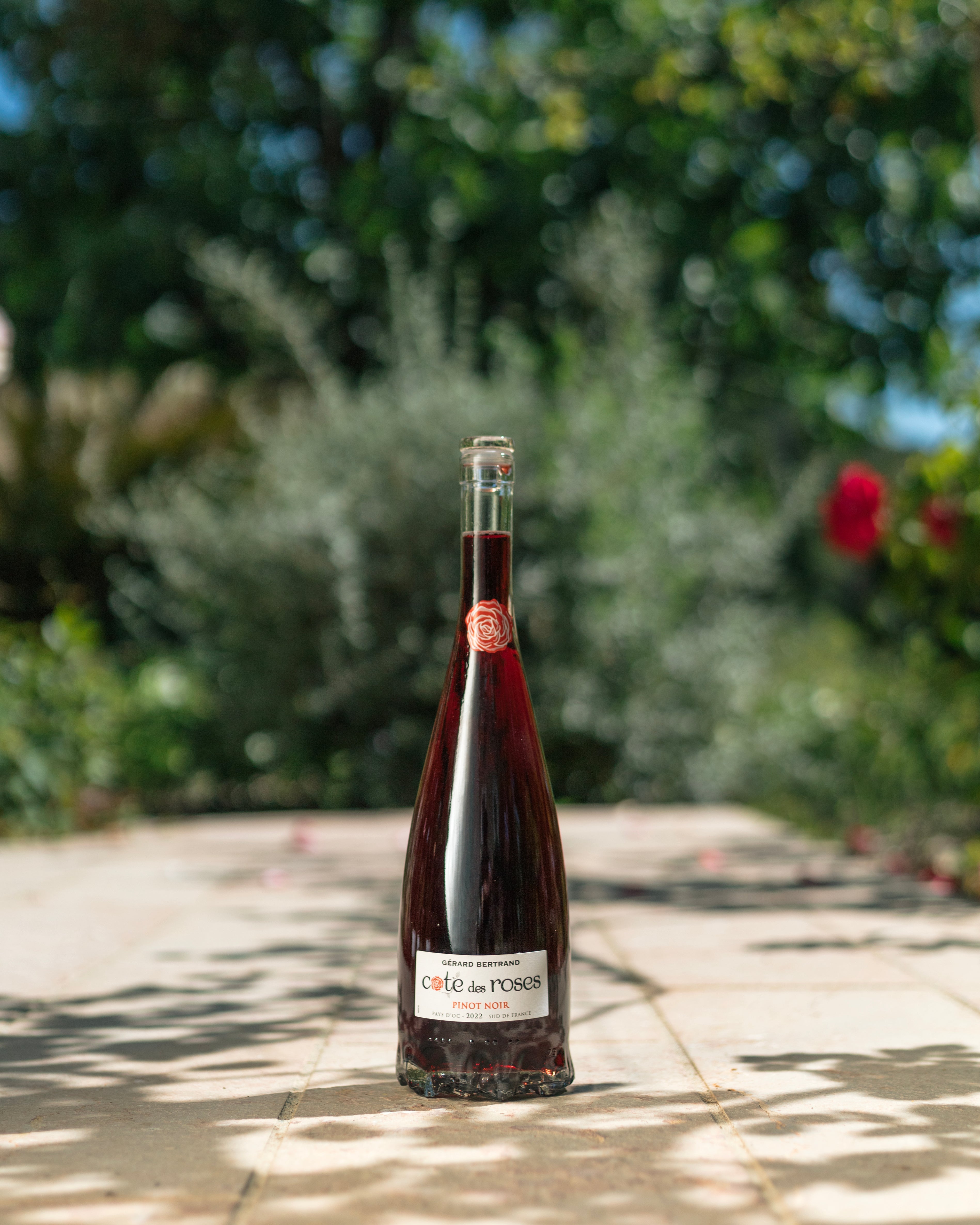 Cote des Roses Pinot noir (750ml)