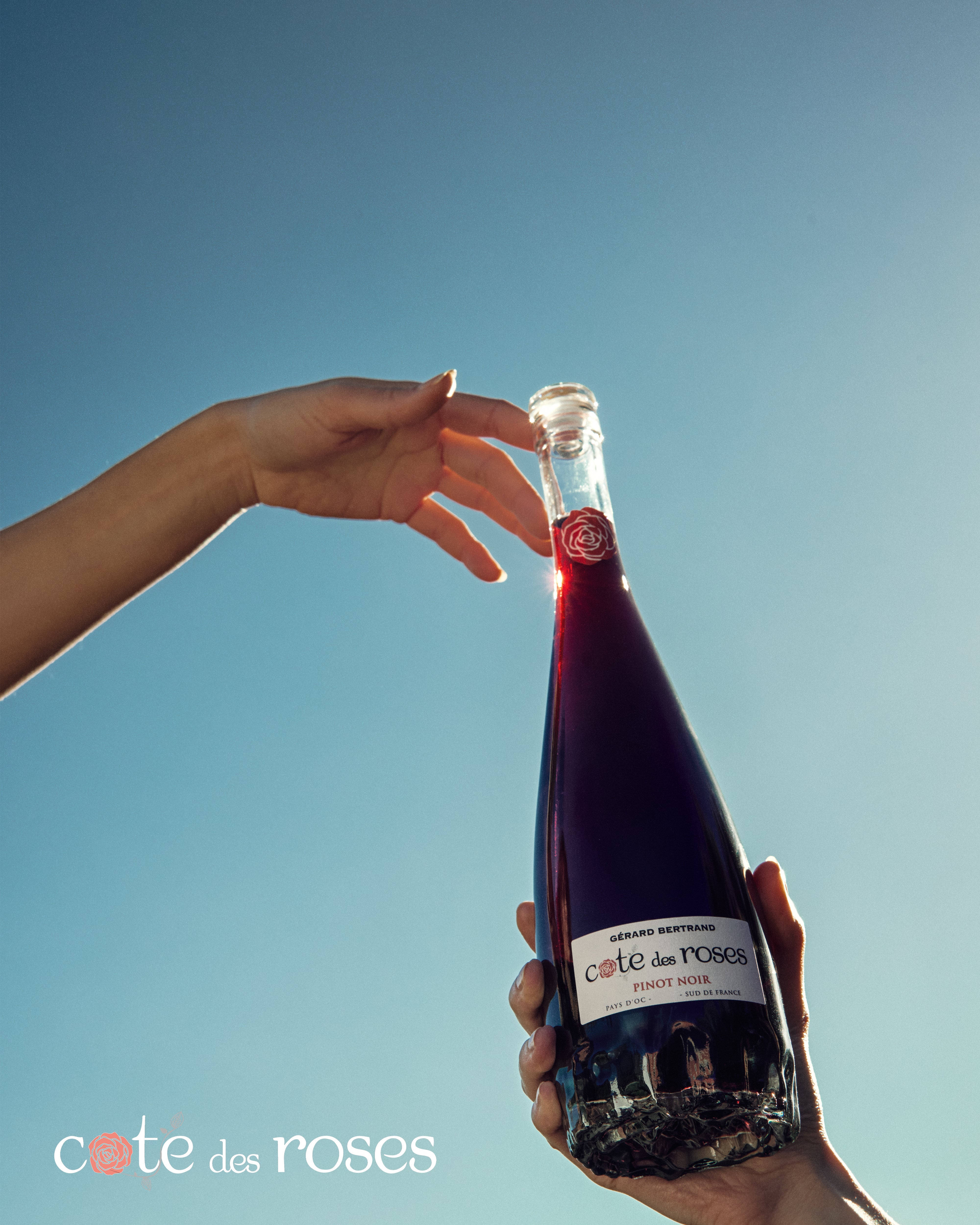 Cote des Roses Pinot noir (750ml)