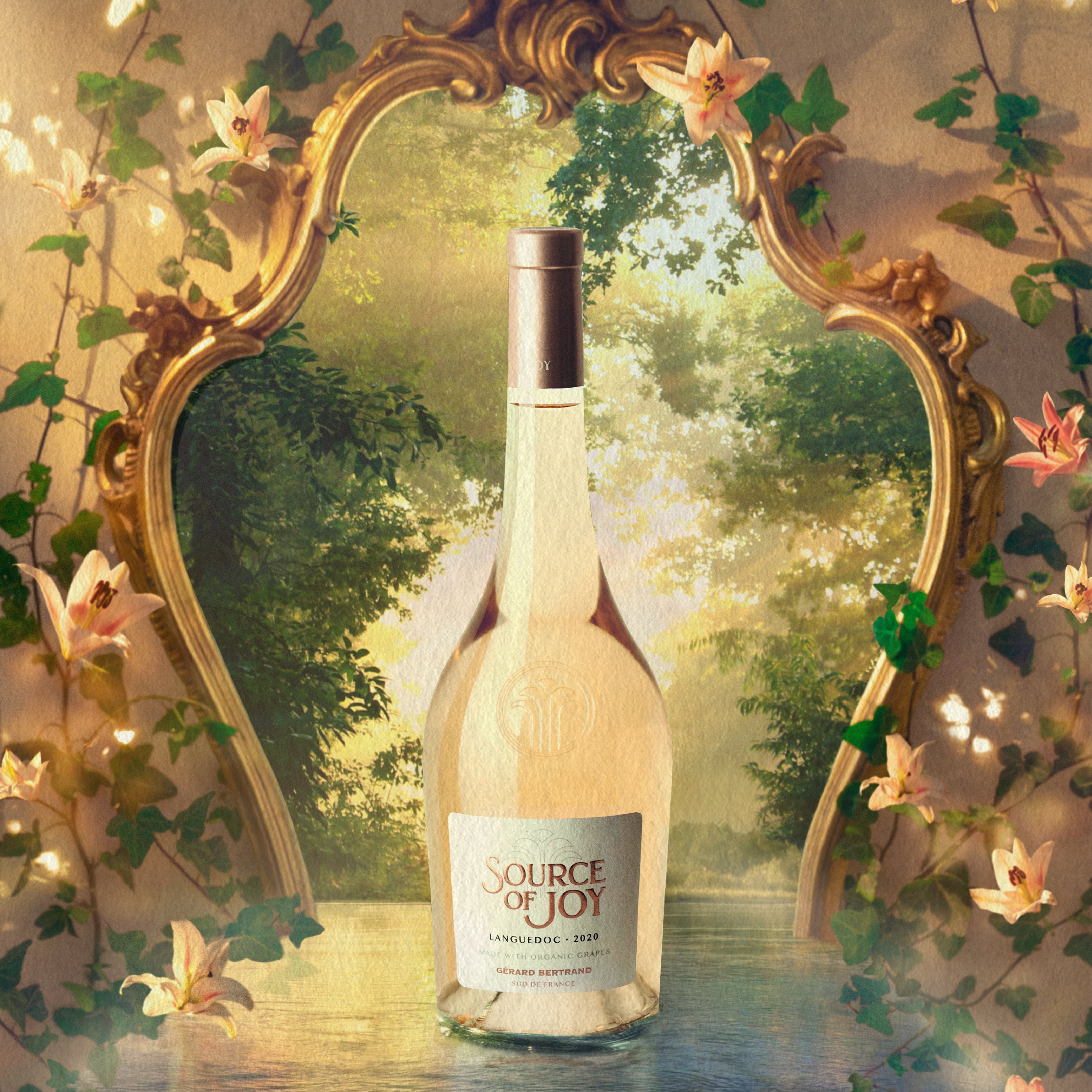 Source of Joy organic wine