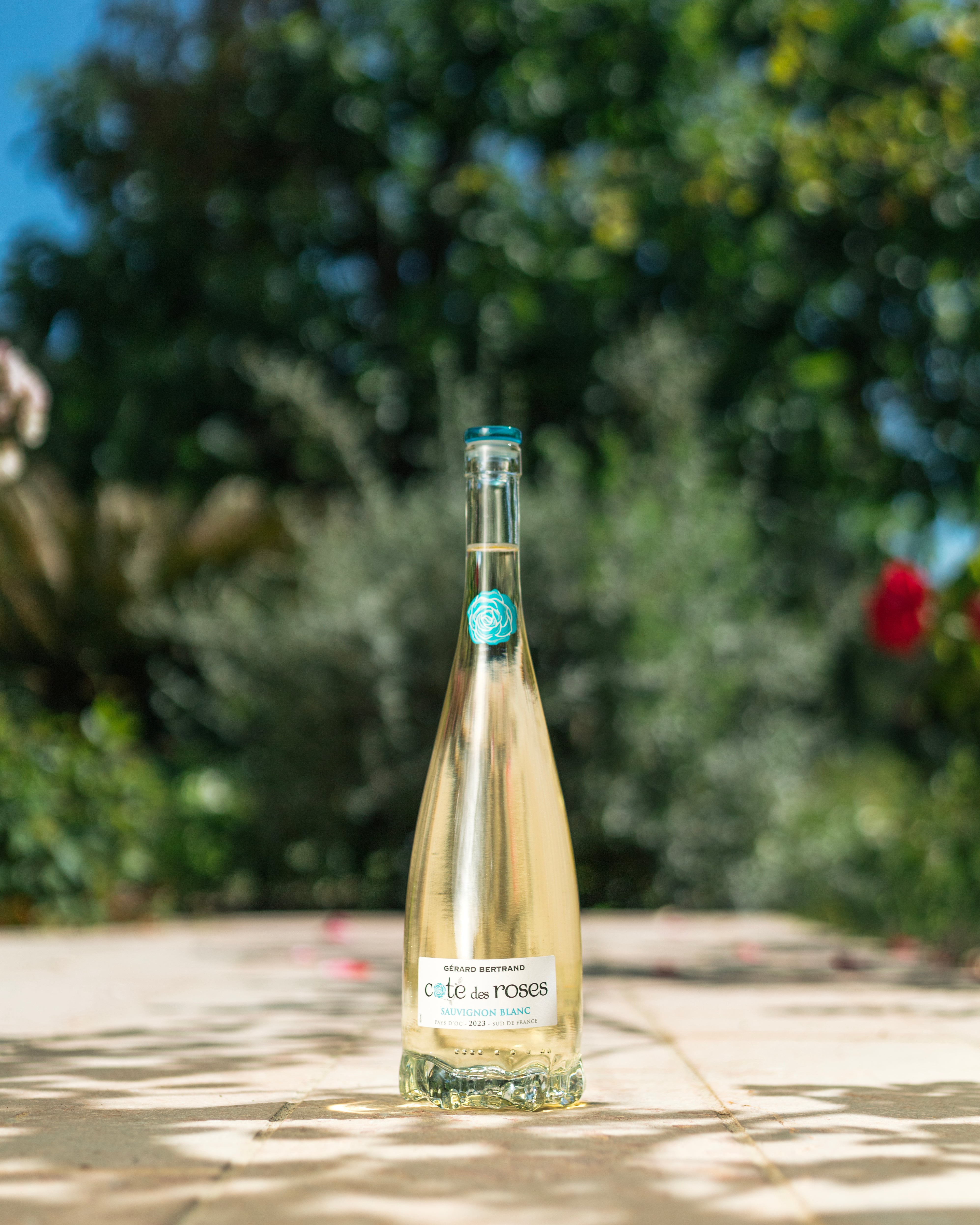 Cote des Roses sauvignon blanc